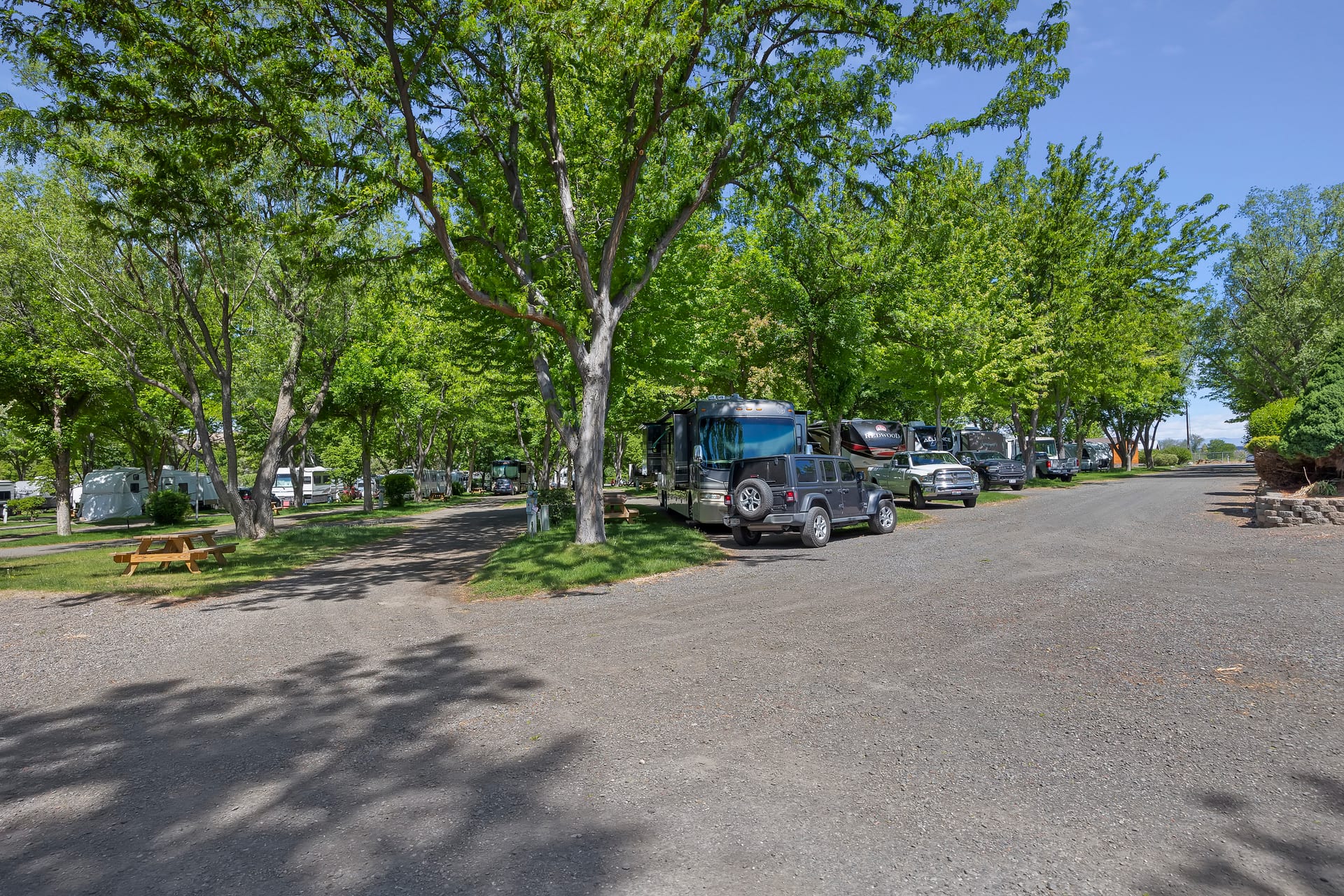 RV sites aisle view at Hagerman RV Village